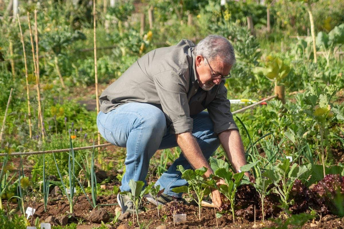 Les équipements de jardinage adaptés aux seniors pour une pratique facile et agréable