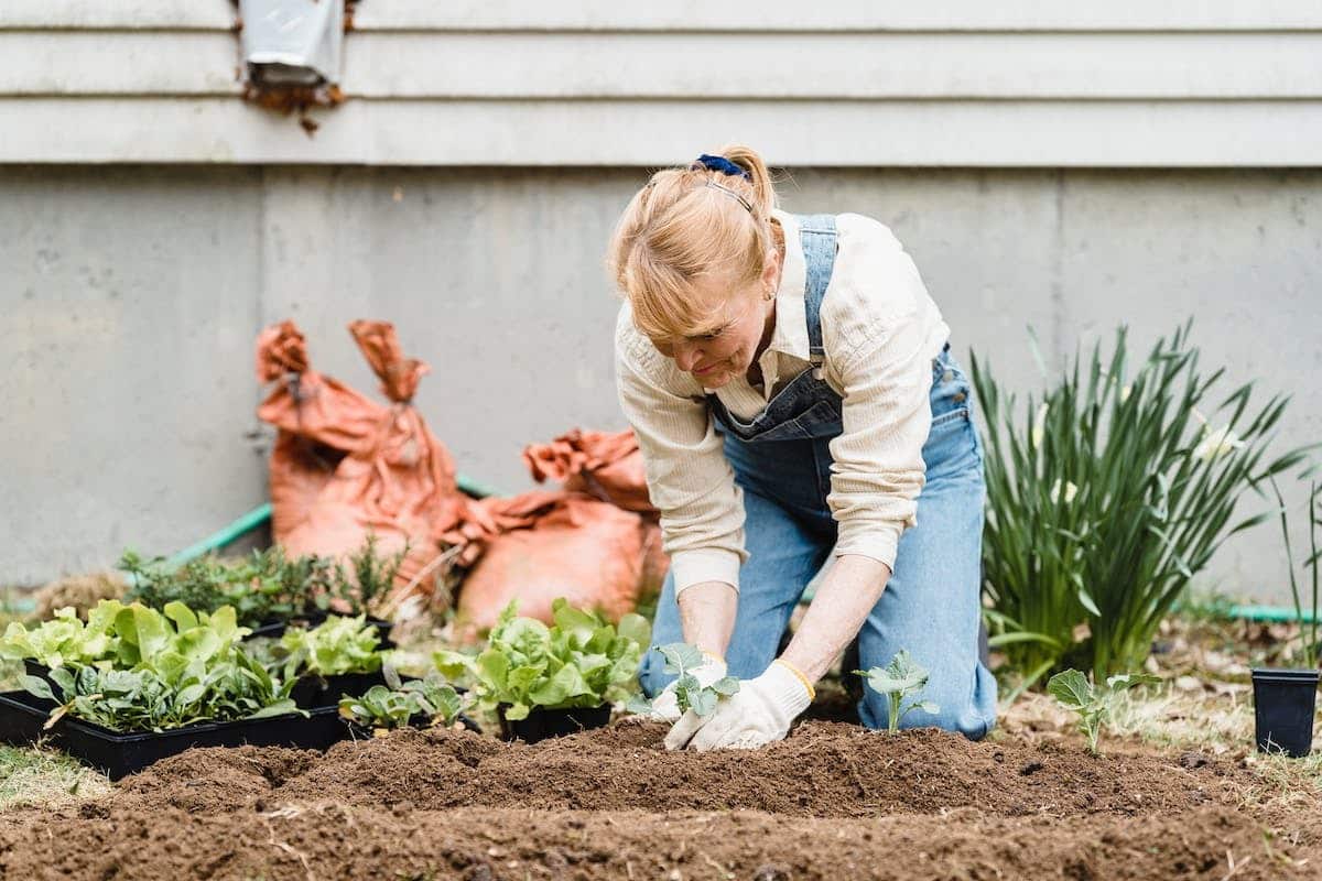 Les bienfaits thérapeutiques des activités de jardinage pour les seniors